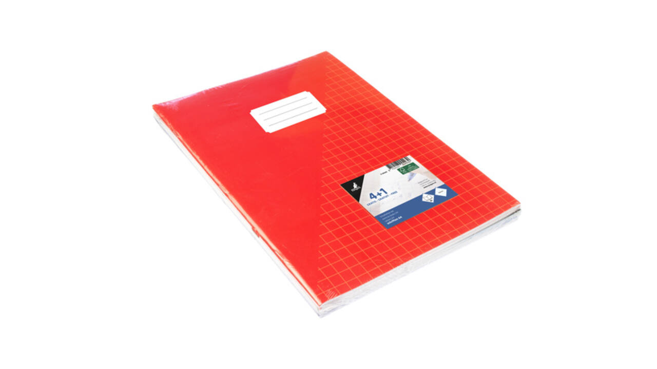 Schrift Kangaro A4 ruit 10mm 80 pagina's 60gr assorti pak  à 5 stuks