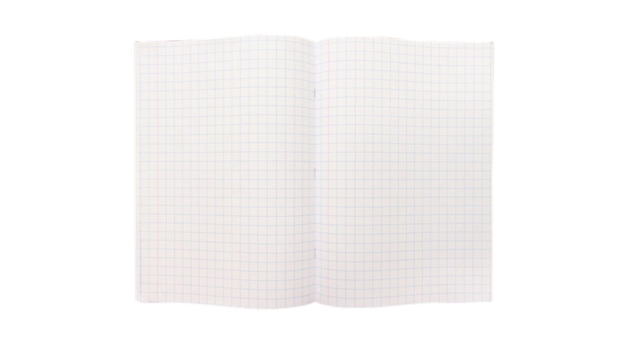 Schrift Kangaro A4 ruit 10mm 80 pagina's 60gr assorti pak  à 5 stuks
