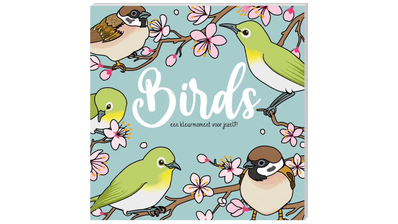 Kleurboek InterStat Birds