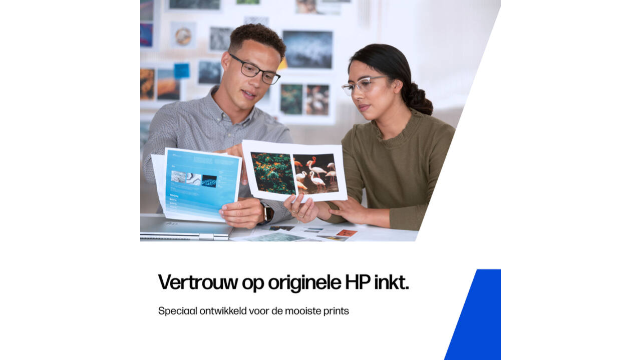 Inktcartridge HP C2P10A 651 zwart