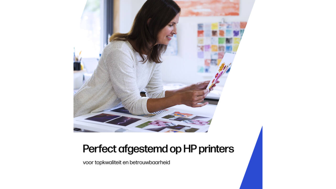 Inktcartridge HP C2P10A 651 zwart