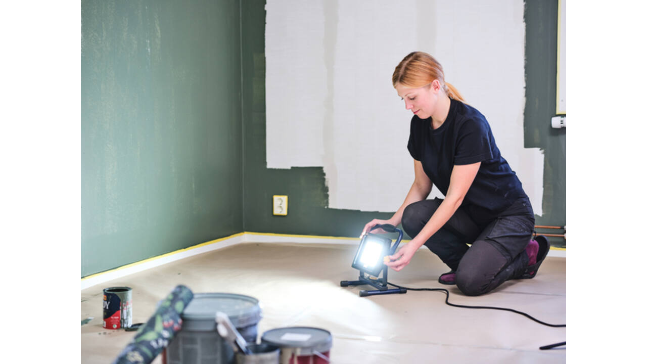 Werklamp Rapid The Painter+ met snoer