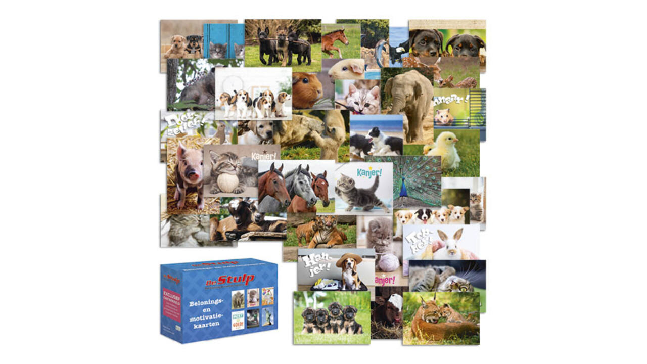 Beloningskaarten De Stulp dierenmix