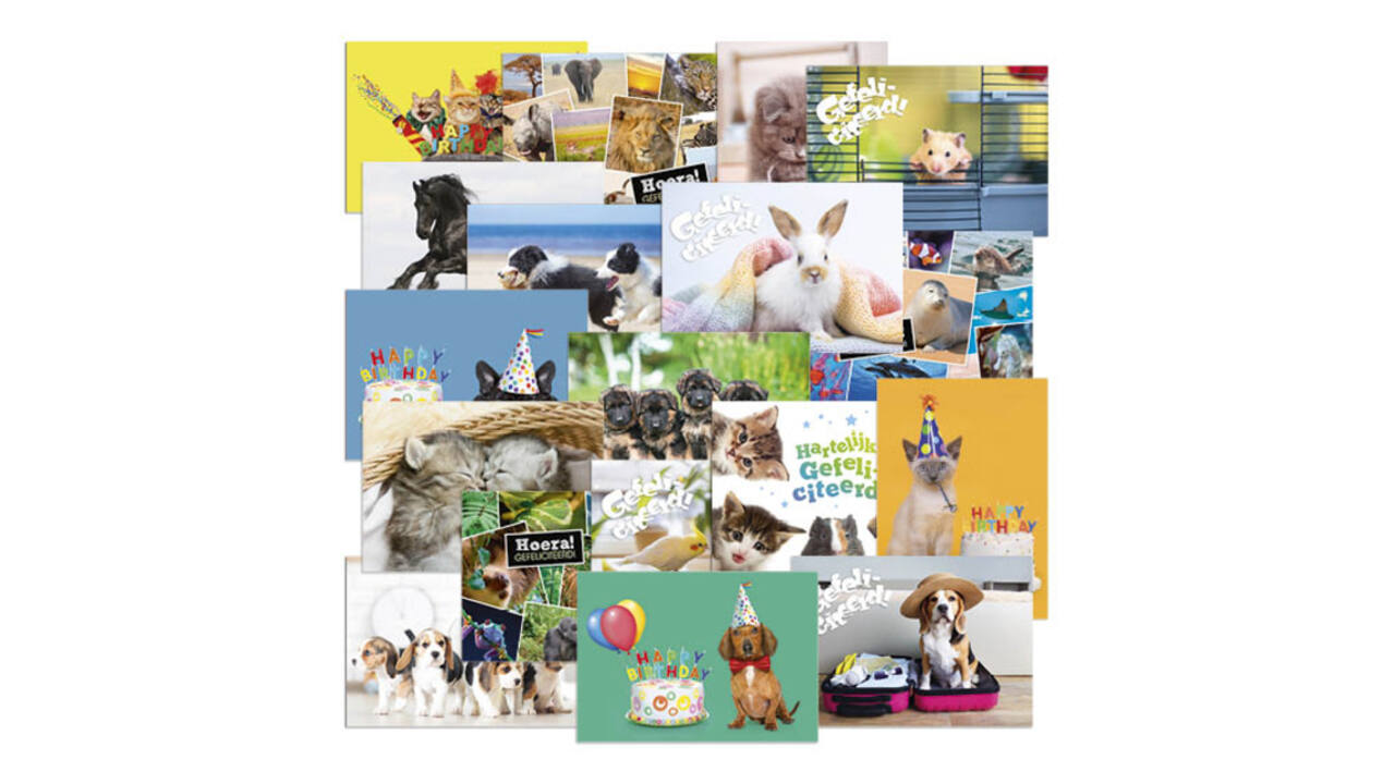 Beloningsposter-kaart De Stulp  thema dieren A4 assorti