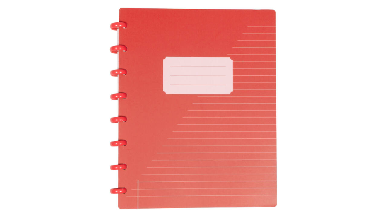 Schrift Kangaro 169x213mm lijn 144pag 90g ass 3 kleur krimp 12st