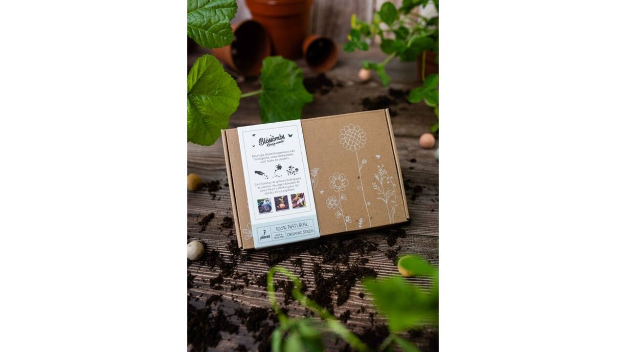 Giftbox Blossombs wilde bloemzaden box à 7 zaadbommetjes