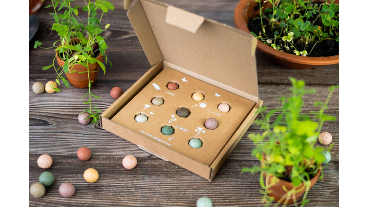 Giftbox Blossombs wilde bloemzaden box à 9 zaadbommetjes