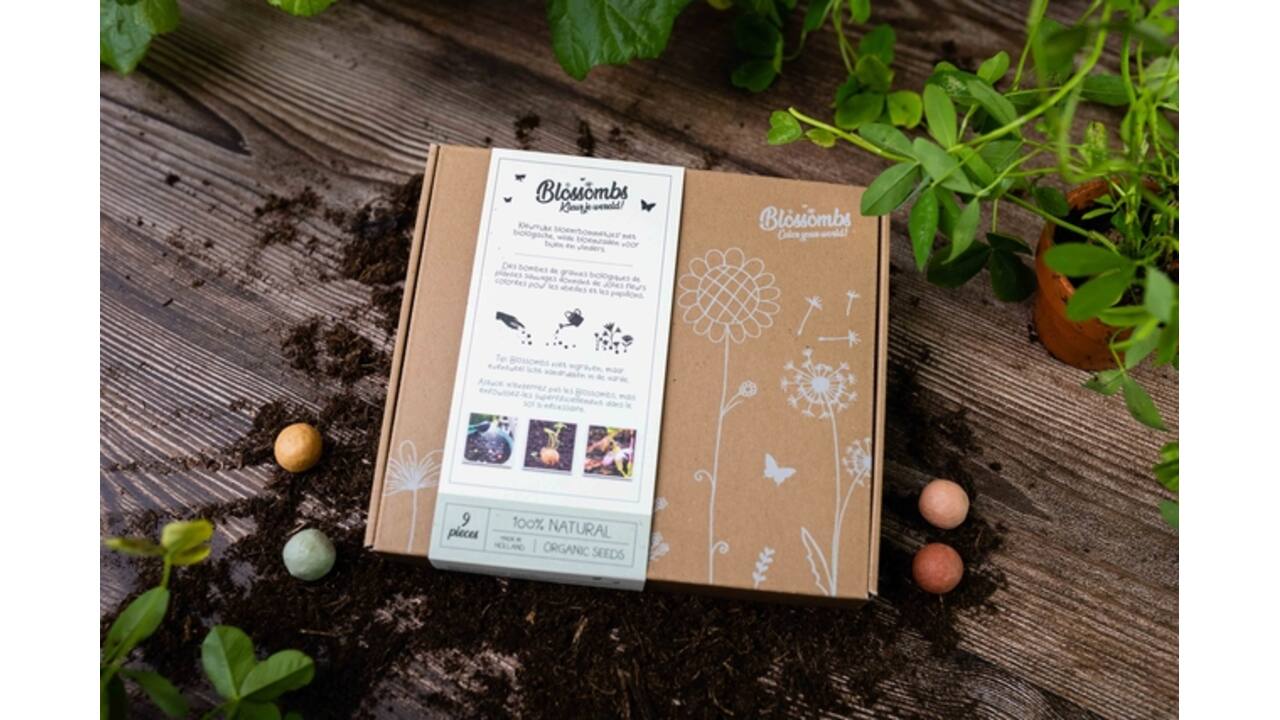 Giftbox Blossombs wilde bloemzaden box à 9 zaadbommetjes