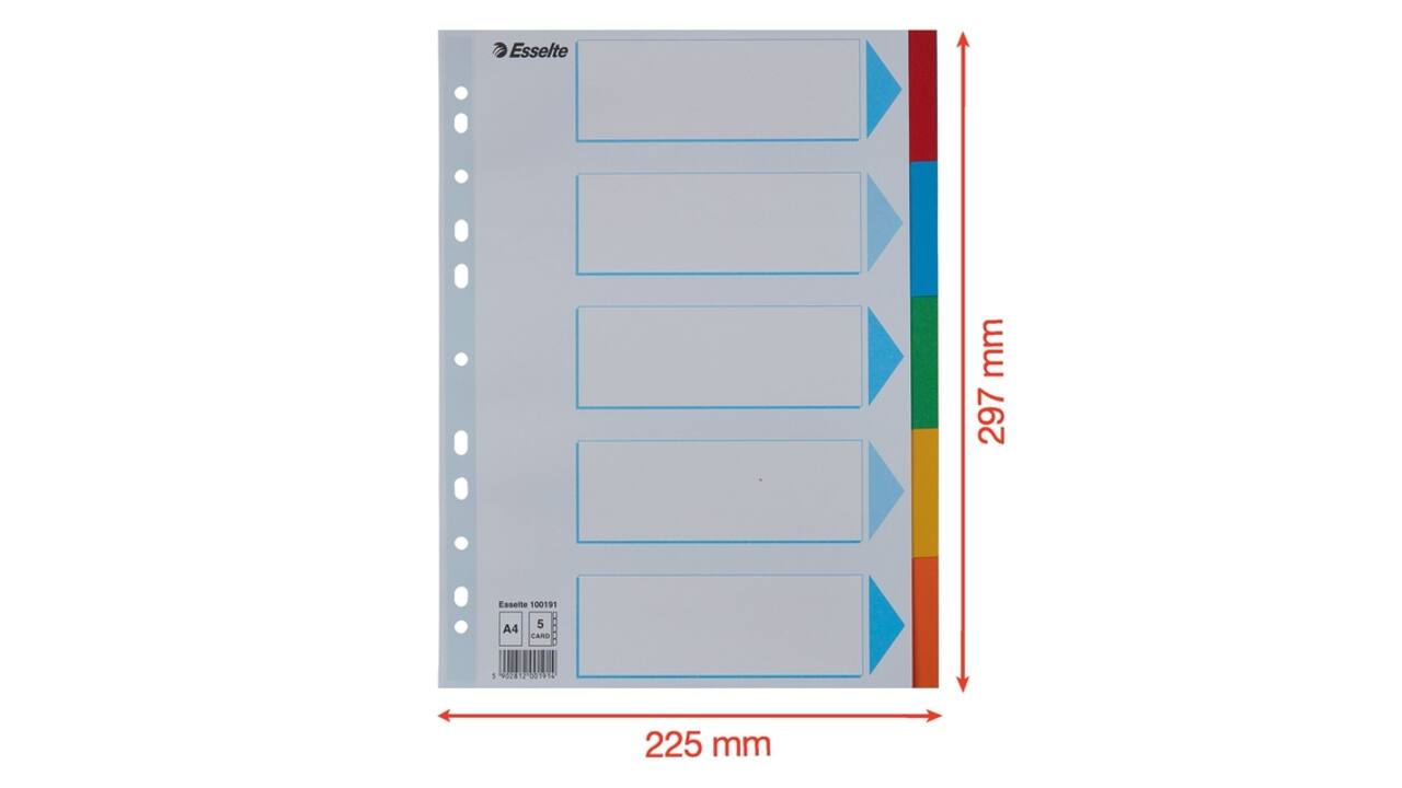 Tabbladen Esselte Standaard A4 5-delig karton 11-rings met voorblad assorti