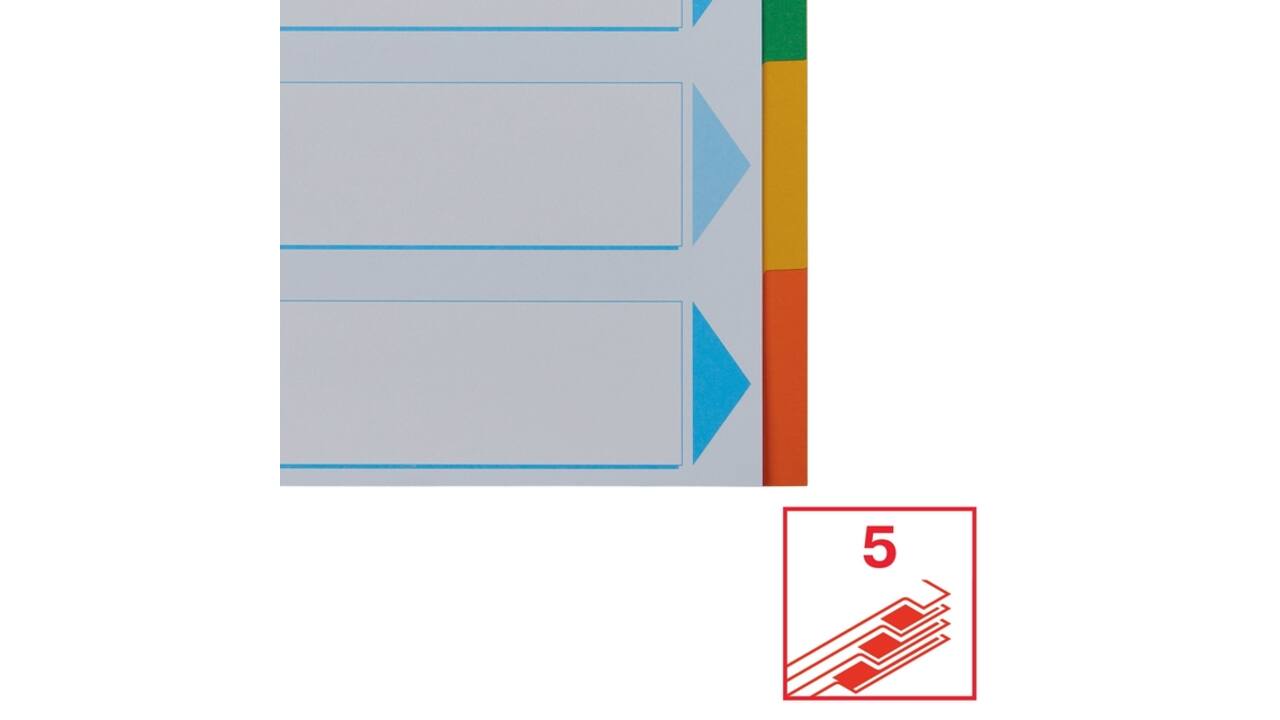 Tabbladen Esselte Standaard A4 5-delig karton 11-rings met voorblad assorti