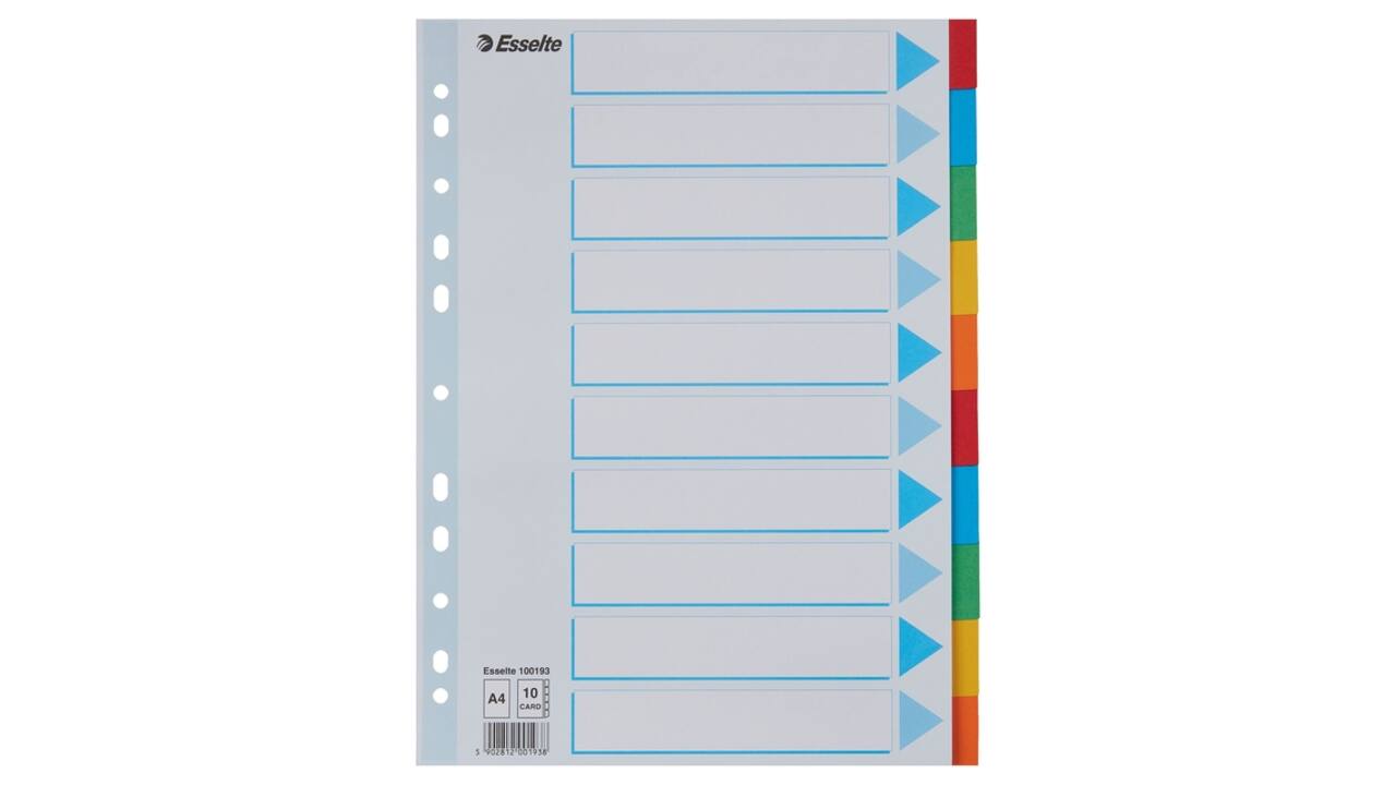Tabbladen Esselte Standaard A4 10-delig karton 11-rings met voorblad assorti