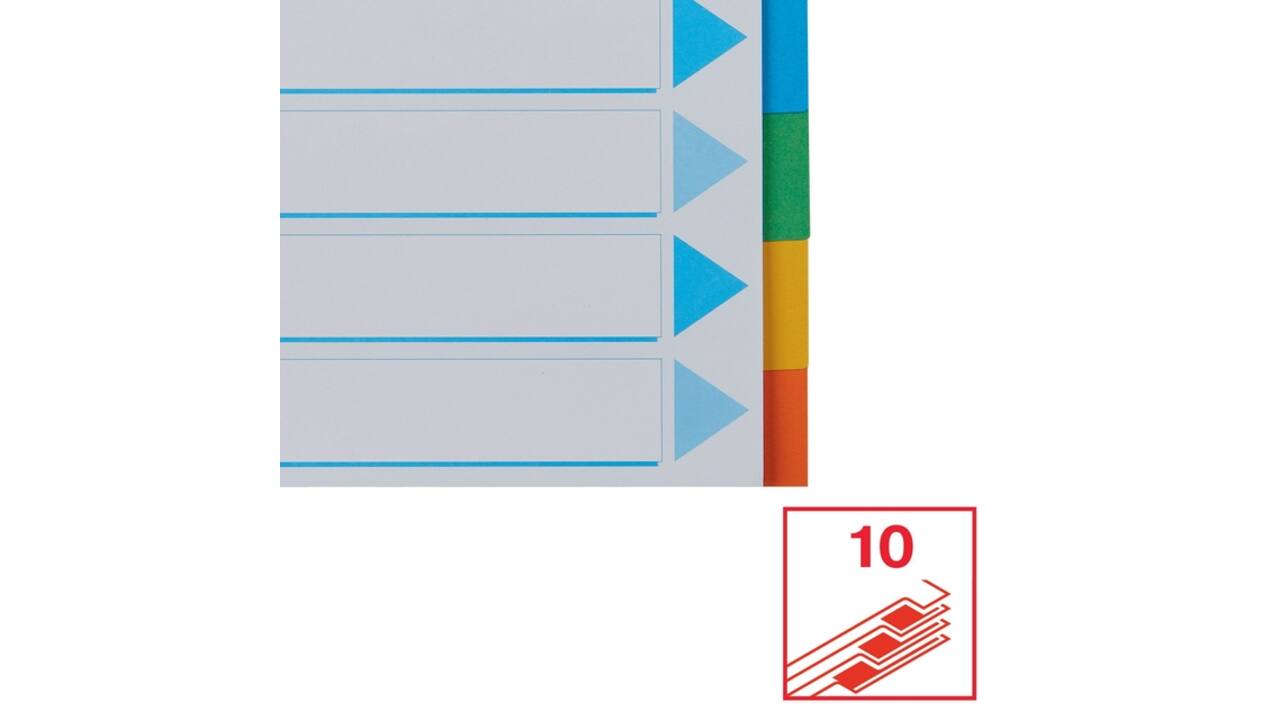 Tabbladen Esselte Standaard A4 10-delig karton 11-rings met voorblad assorti