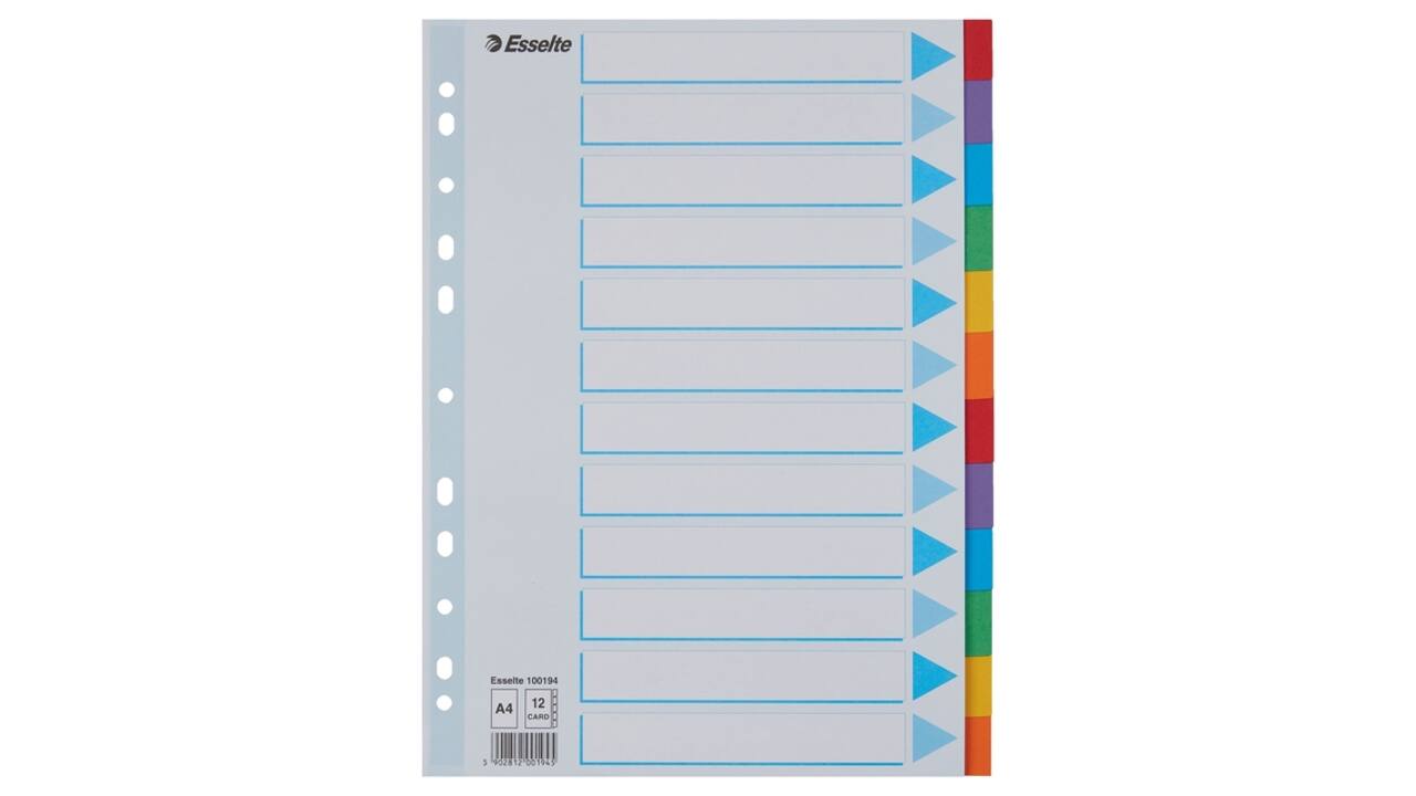 Tabbladen Esselte Standaard A4 12-delig karton 11-rings met voorblad assorti