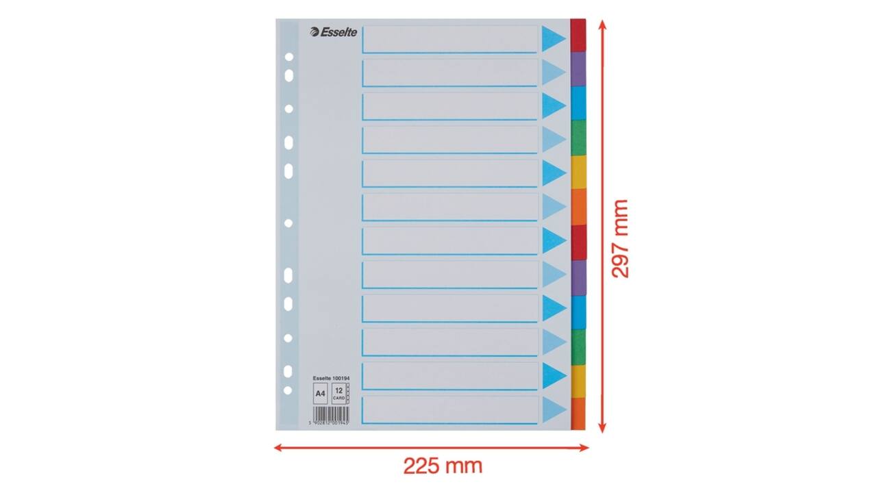Tabbladen Esselte Standaard A4 12-delig karton 11-rings met voorblad assorti