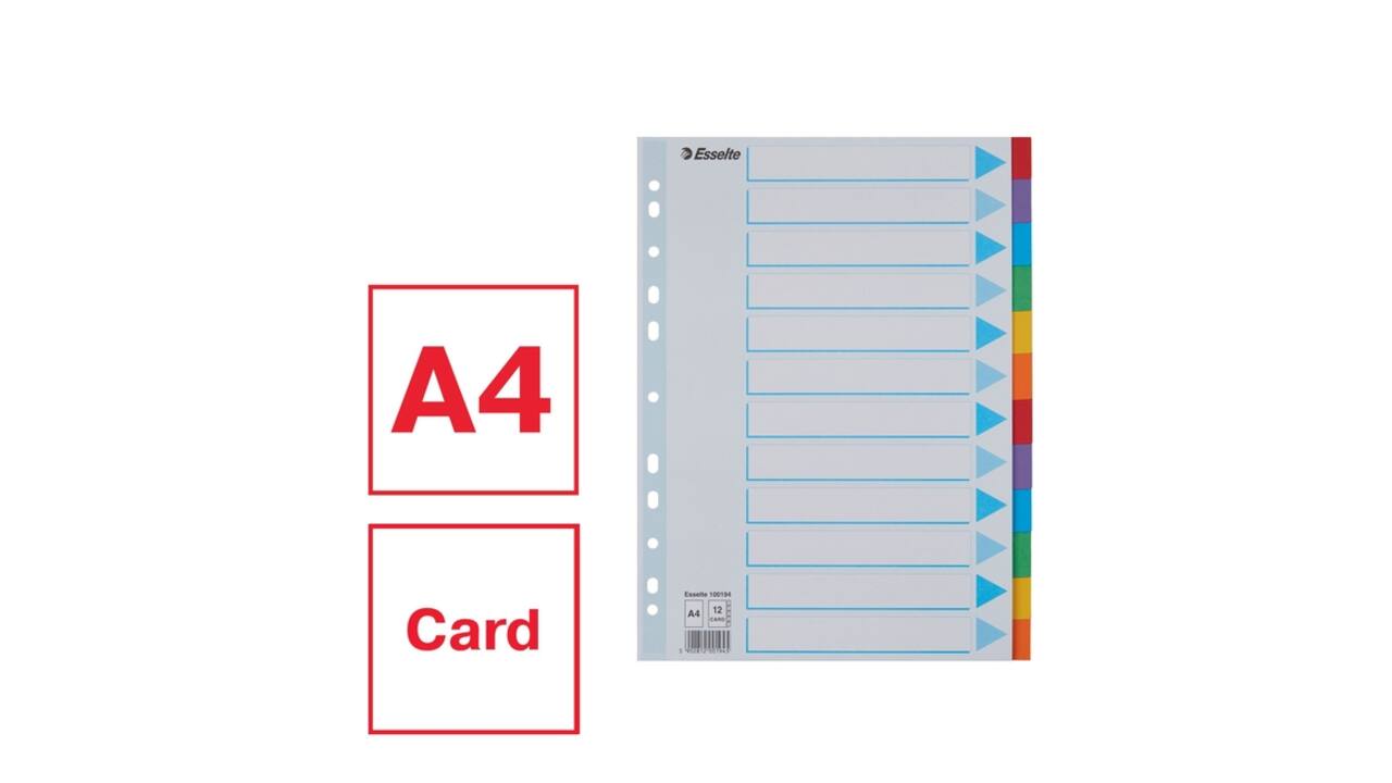Tabbladen Esselte Standaard A4 12-delig karton 11-rings met voorblad assorti