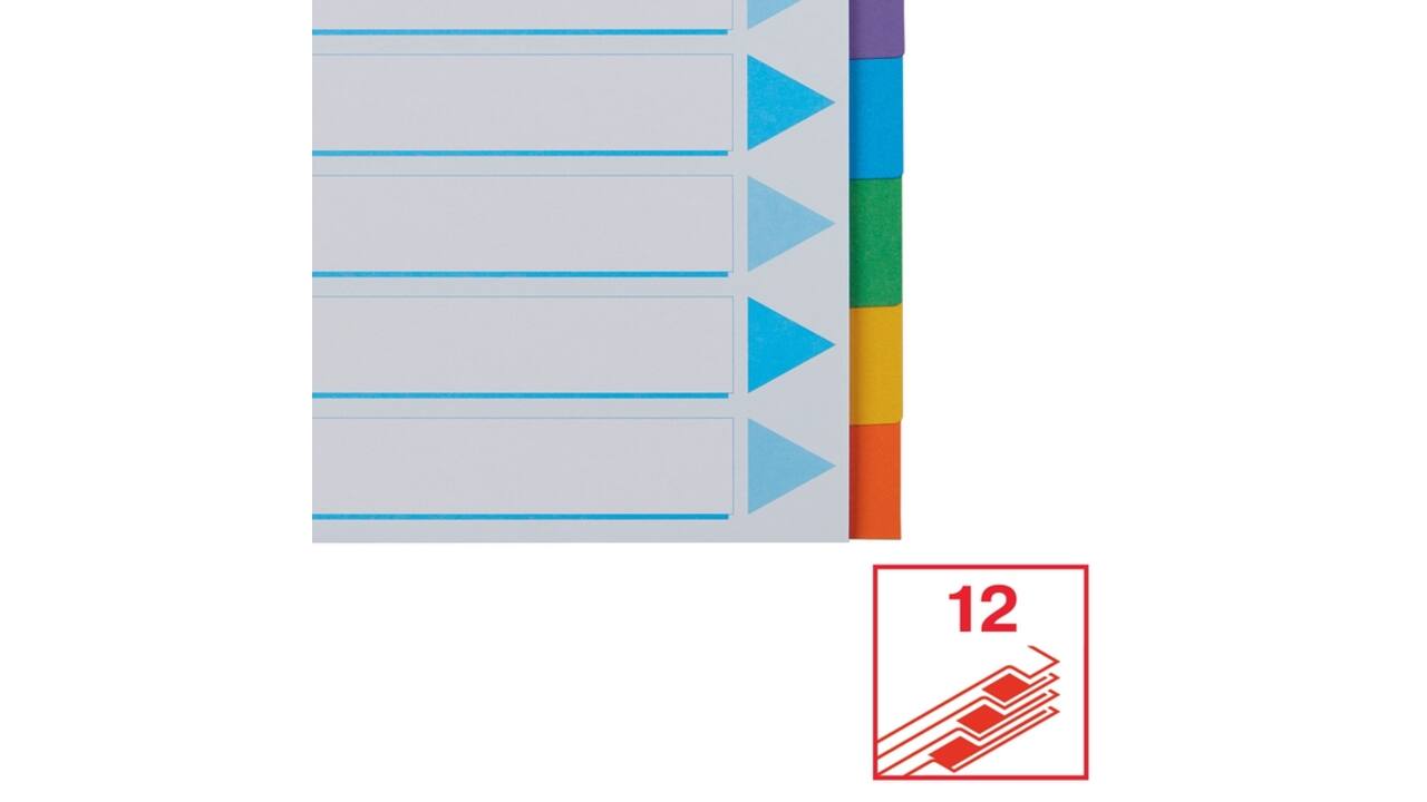 Tabbladen Esselte Standaard A4 12-delig karton 11-rings met voorblad assorti