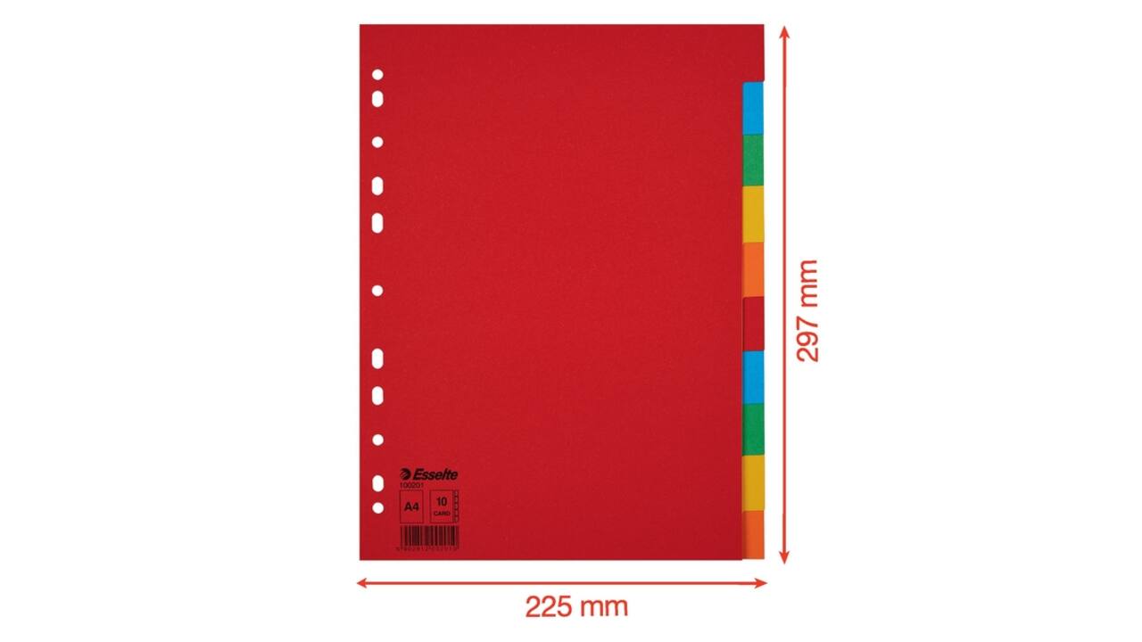 Tabbladen Esselte Economy A4 10-delig karton 11-rings assorti