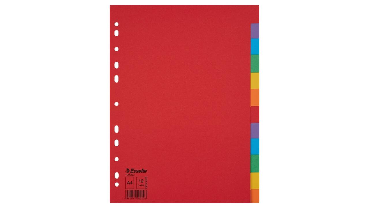 Tabbladen Esselte Economy A4 12-delig karton 11-rings assorti