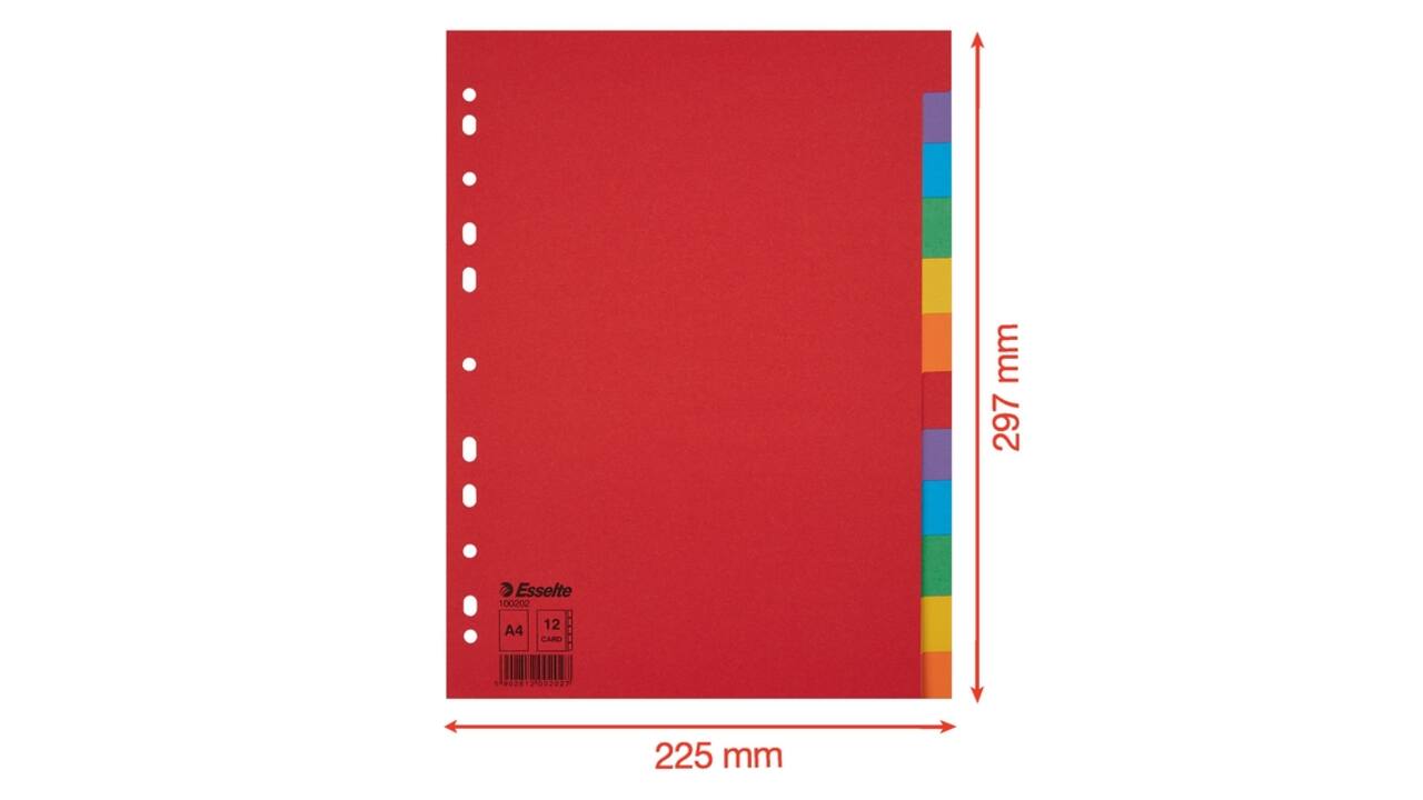 Tabbladen Esselte Economy A4 12-delig karton 11-rings assorti