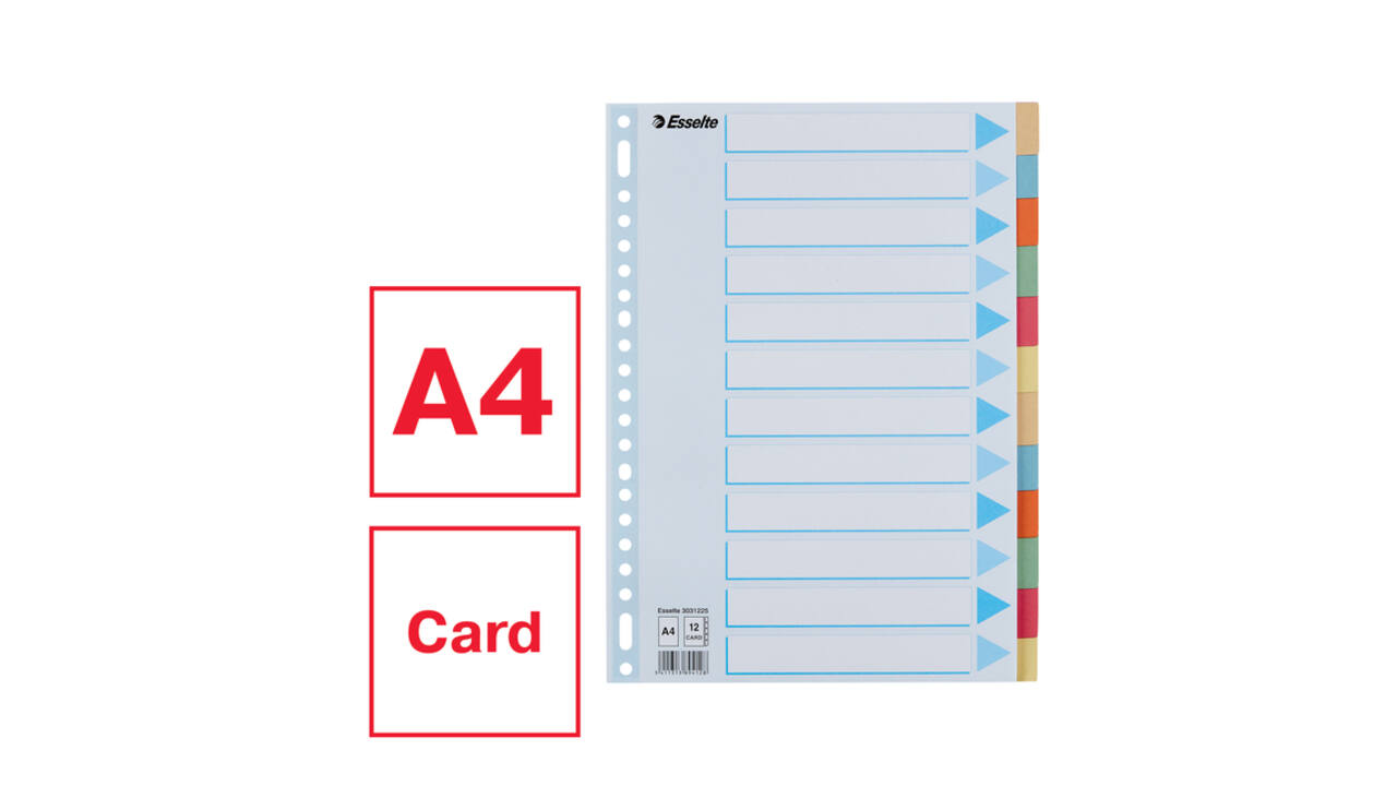 Tabbladen Esselte Premium A4 12-delig karton 23-rings assorti