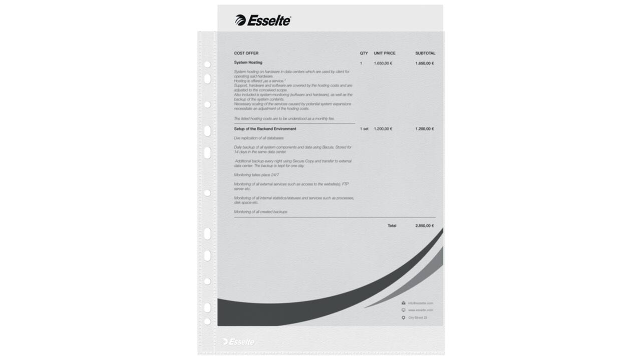 Showtas Esselte Economy copy safe 0.05mm PP A4 100 stuks