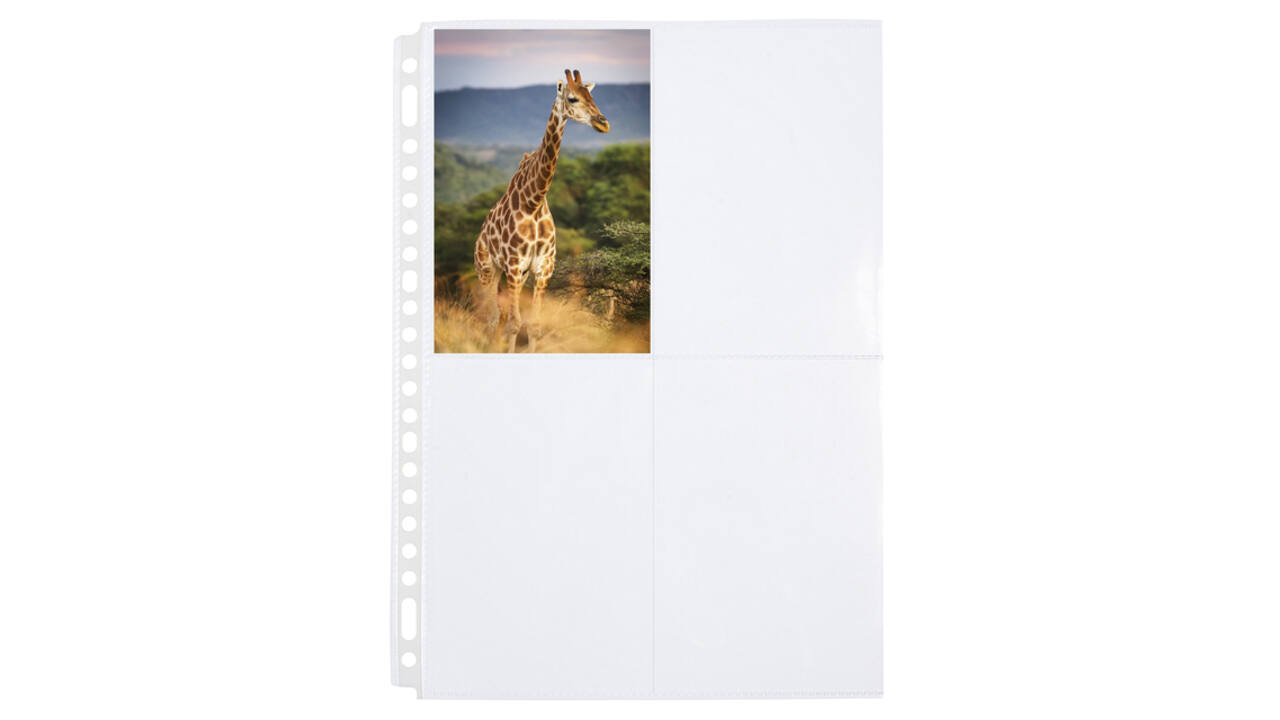 Fototas Multo A4 23-gaats 4-vaks 10X15cm PP transparant 10 stuks