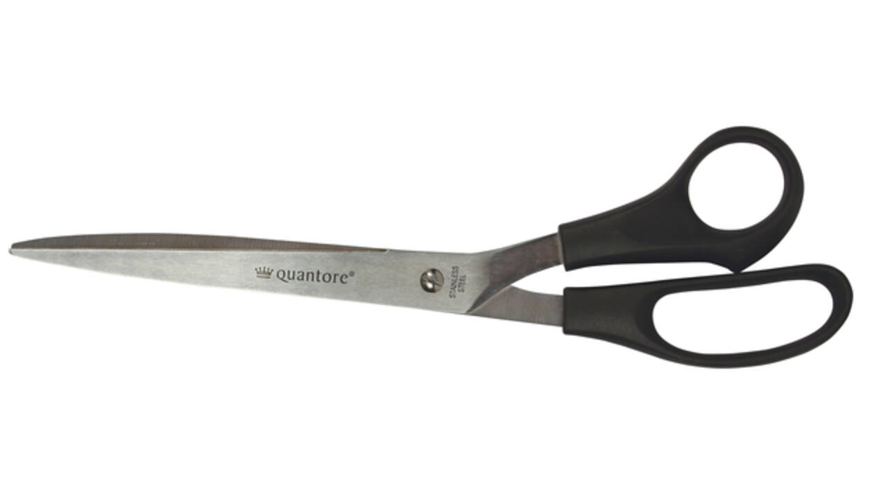 Schaar Quantore 250mm +plastic handvat zwart
