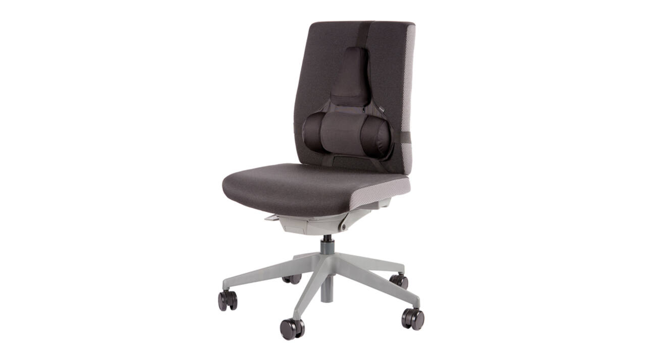 Rugsteun Fellowes Pro Ultieme