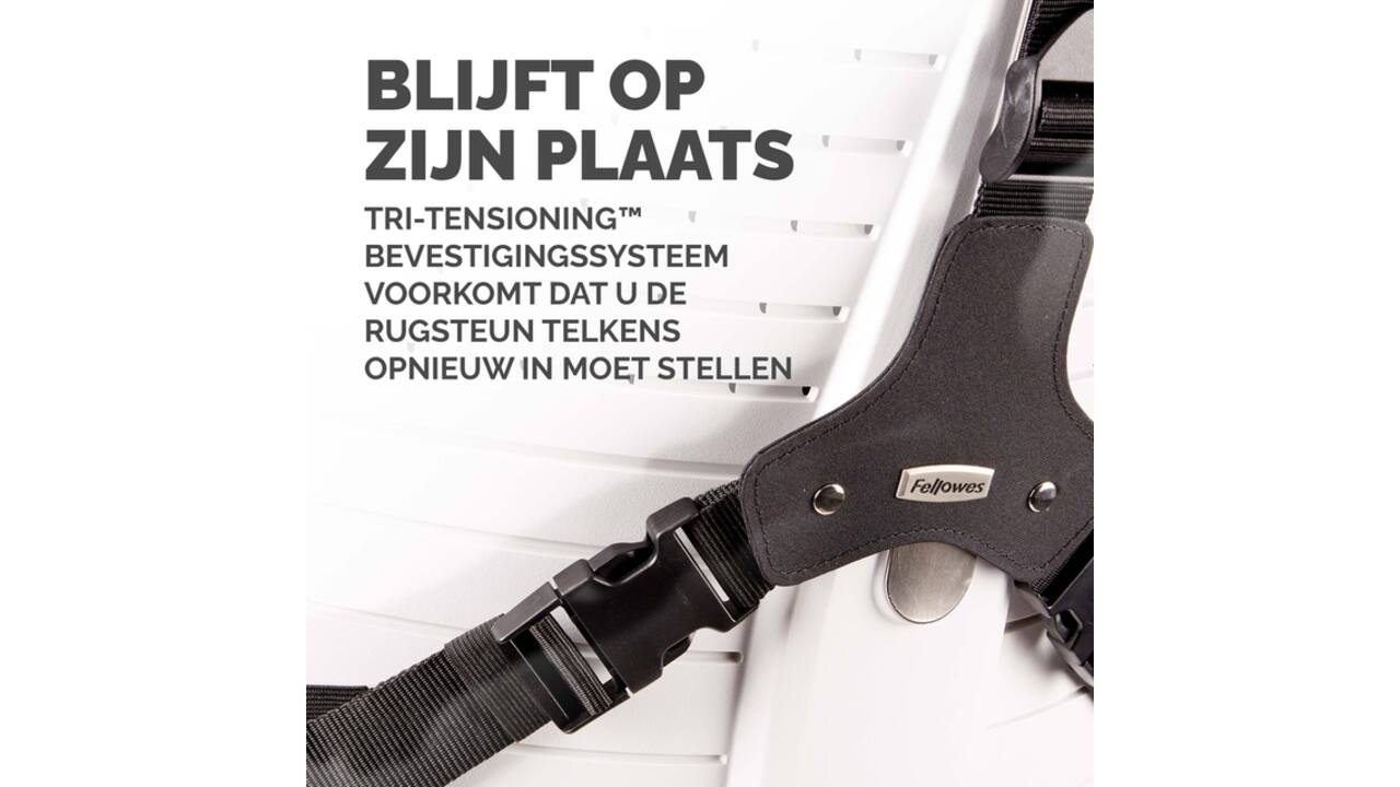 Rugsteun Fellowes Pro Ultieme