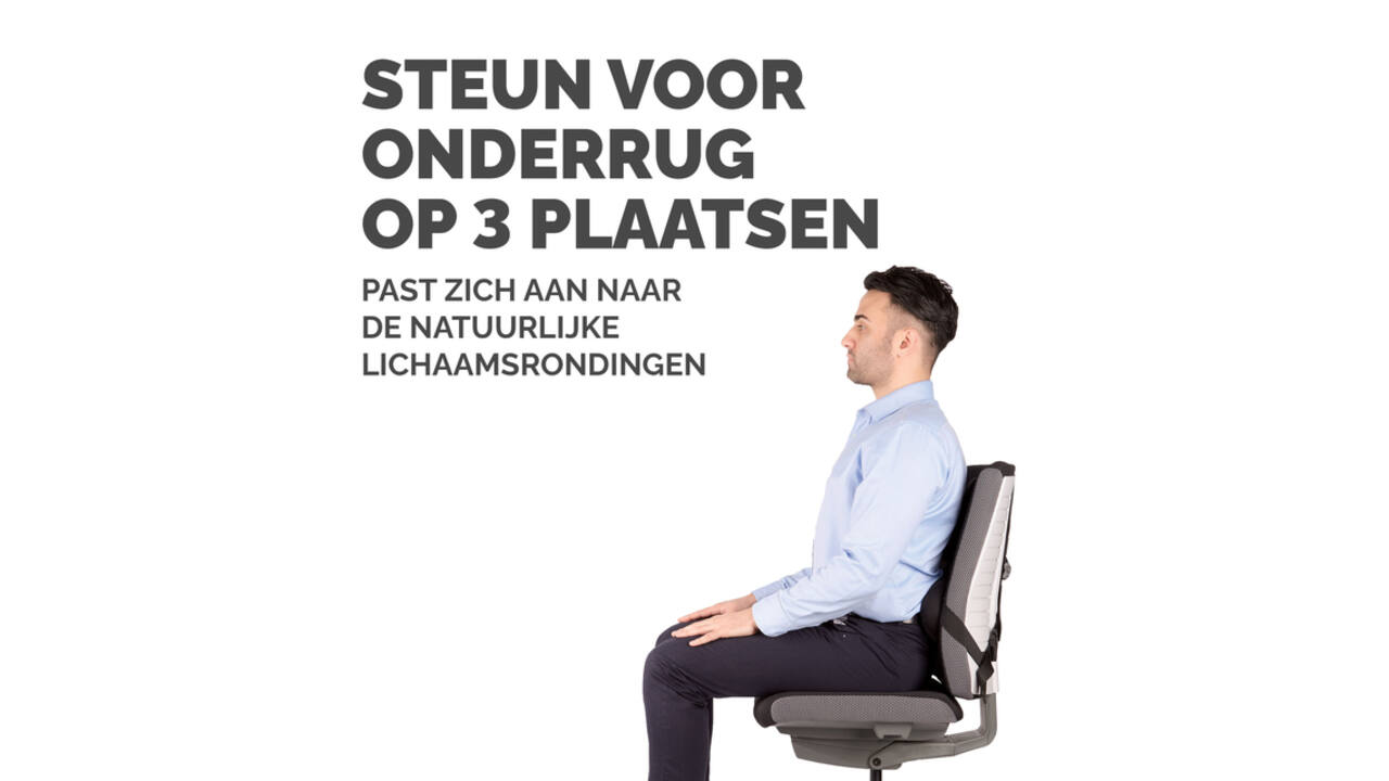 Rugsteun Fellowes Pro Ultieme