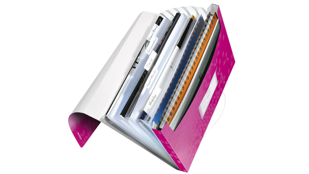 Projectmap Leitz WOW voor A4 6 vaks PP roze