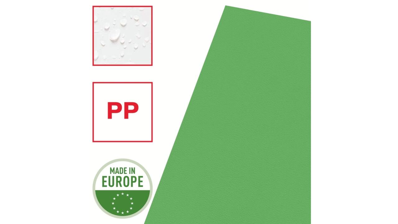 Insteekmap L-model Esselte standaard A4 0.11mm PP groen 100 stuks
