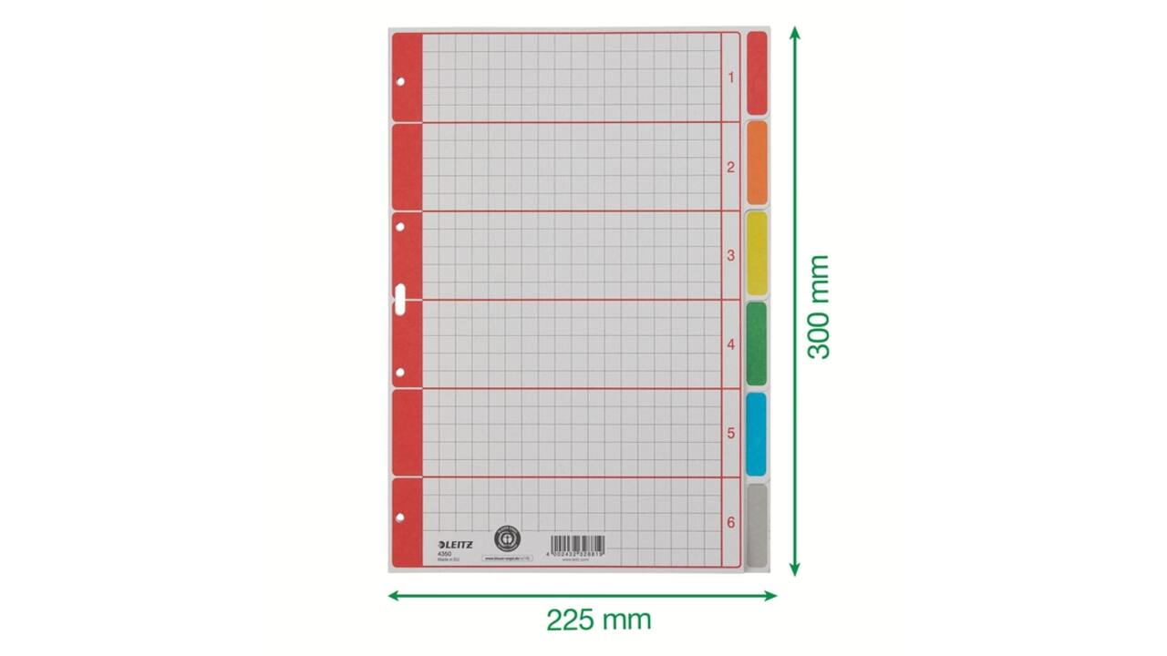 Tabbladen Leitz 4-gaats 4350 6-delig grijs karton