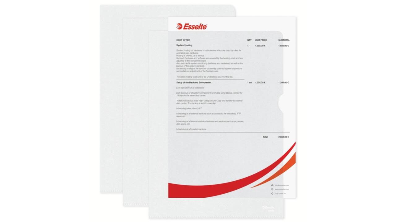 Insteekmap L-model Esselte standaard copy safe PP A4 transparant 100 stuks