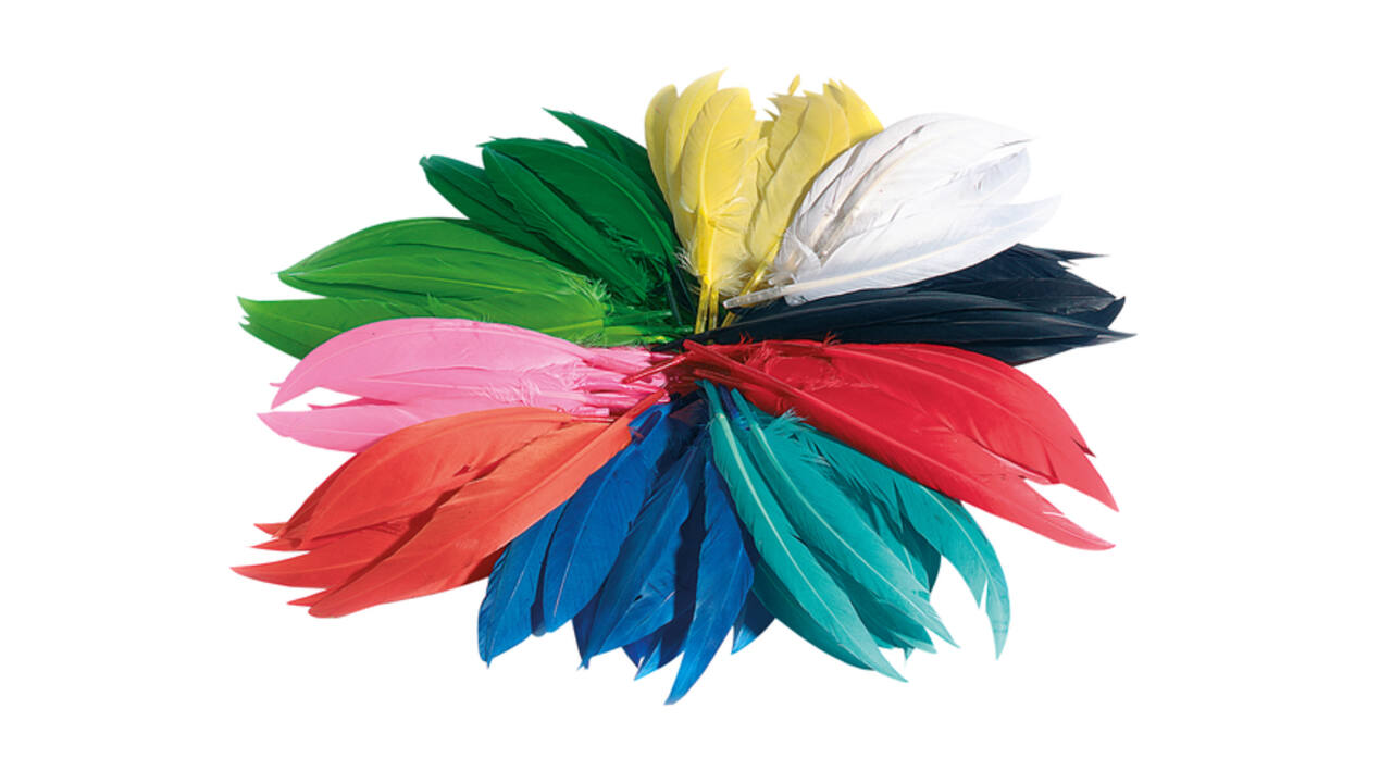 Indianen veren Folia assorti