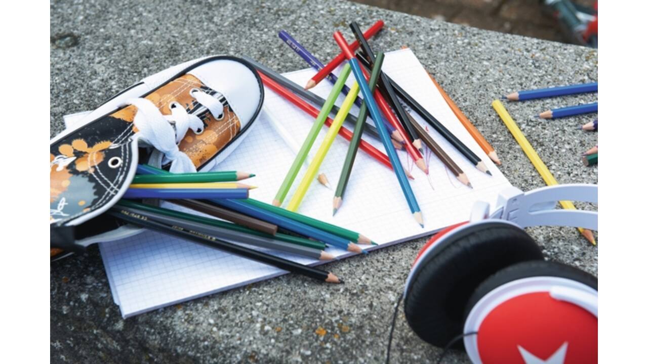 Kleurpotloden STABILO 979 color assorti kartonnen etui à 24 stuks