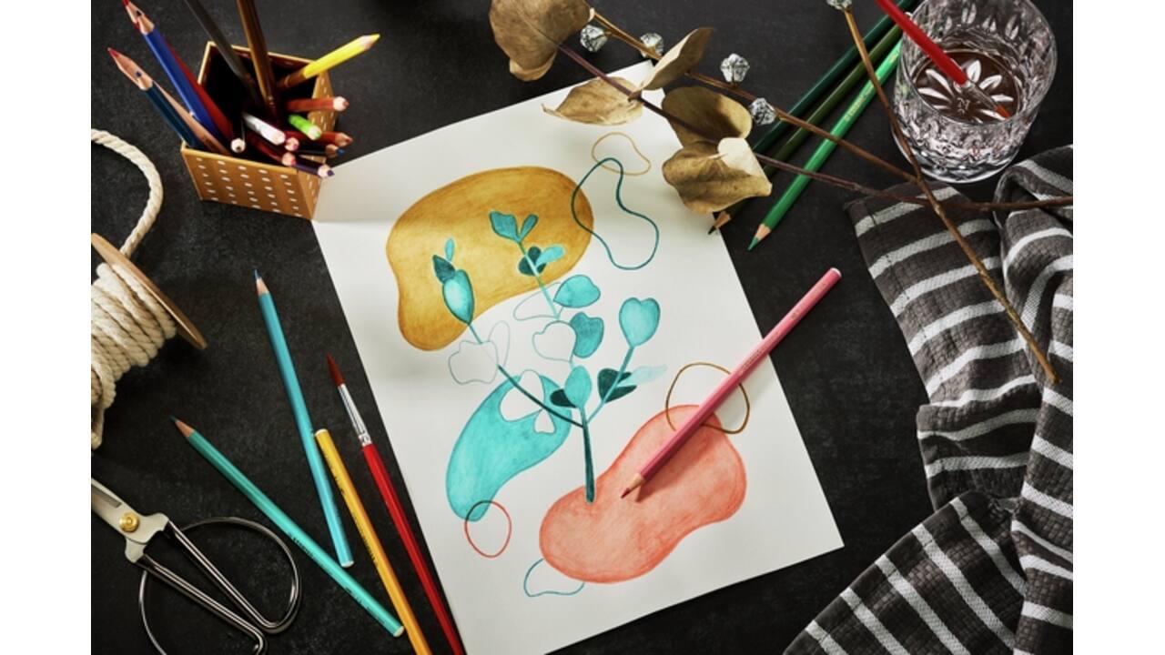 Kleurpotloden STABILO 1612 aquacolor assorti blik à 12 stuks