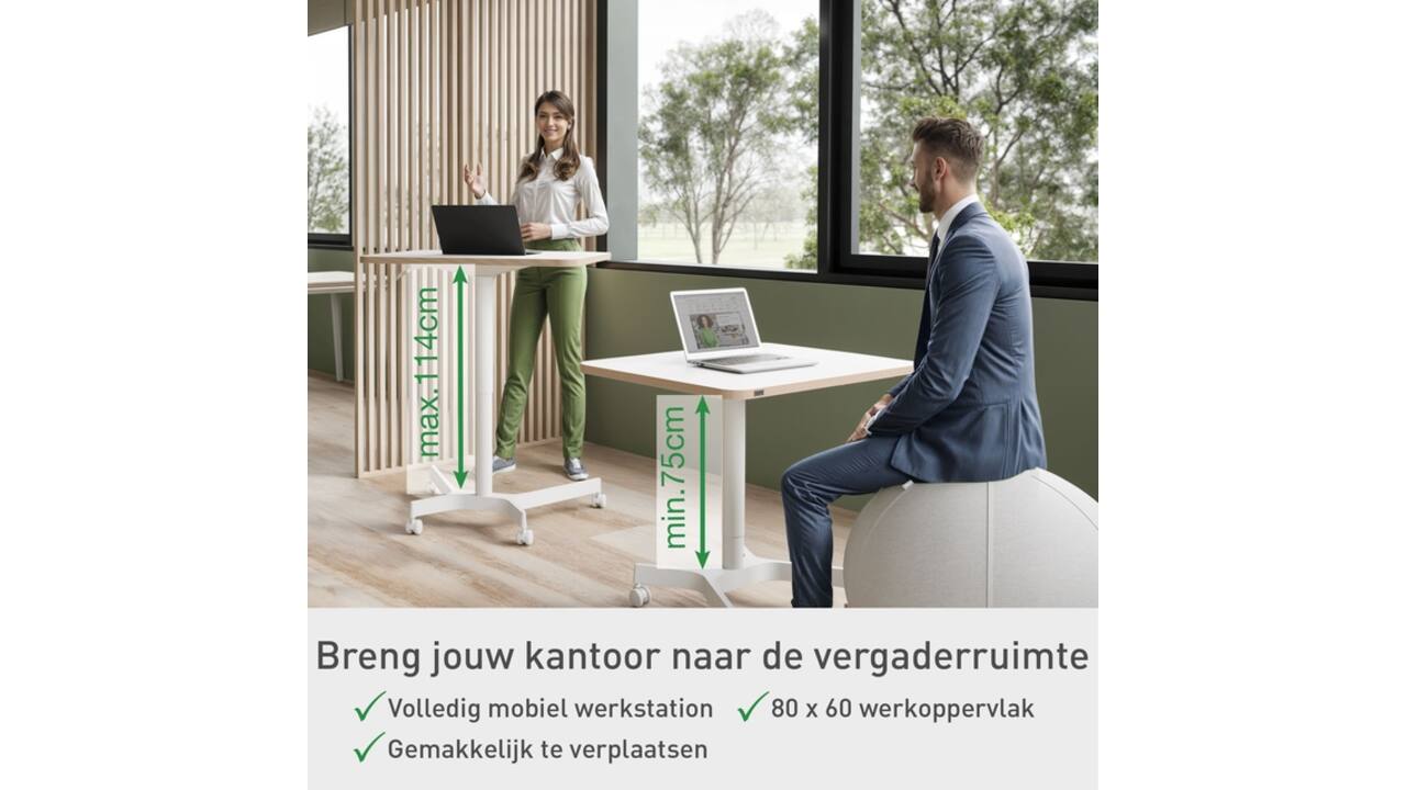 Zit-sta bureau Leitz Ergo compact wielen