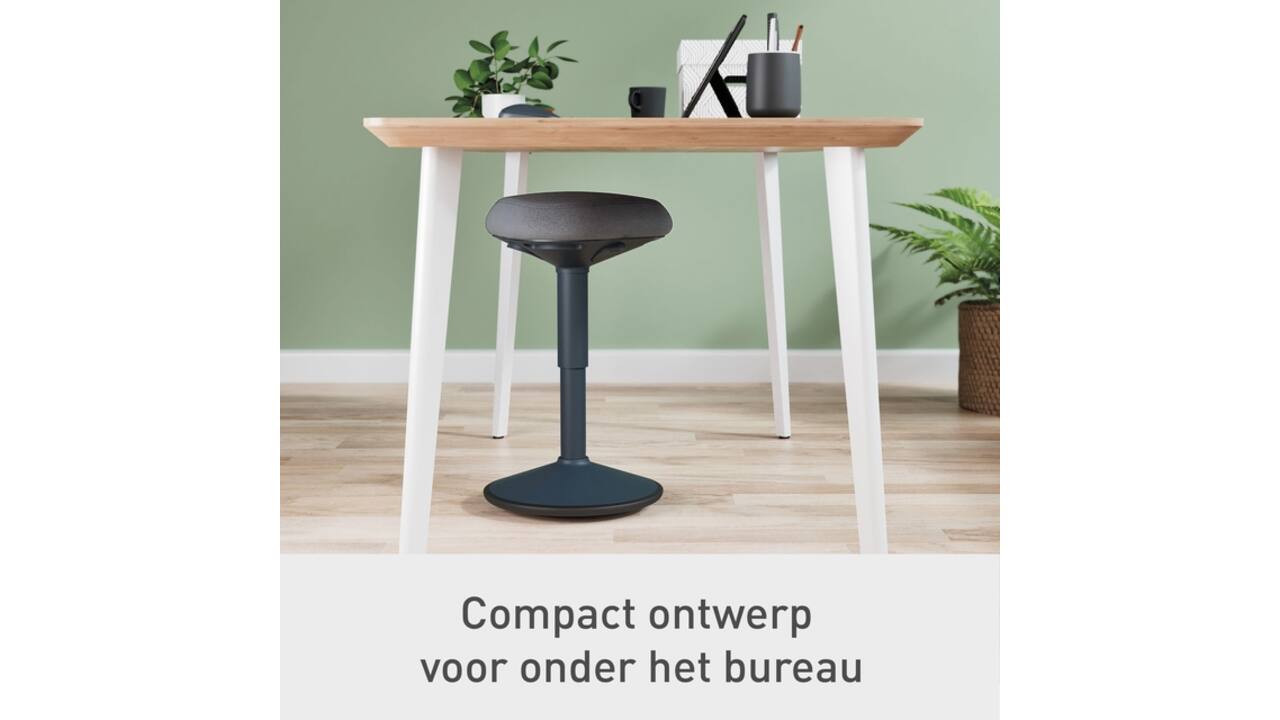 Actieve zitkruk Leitz Ergo met gasveer 47-64cm
