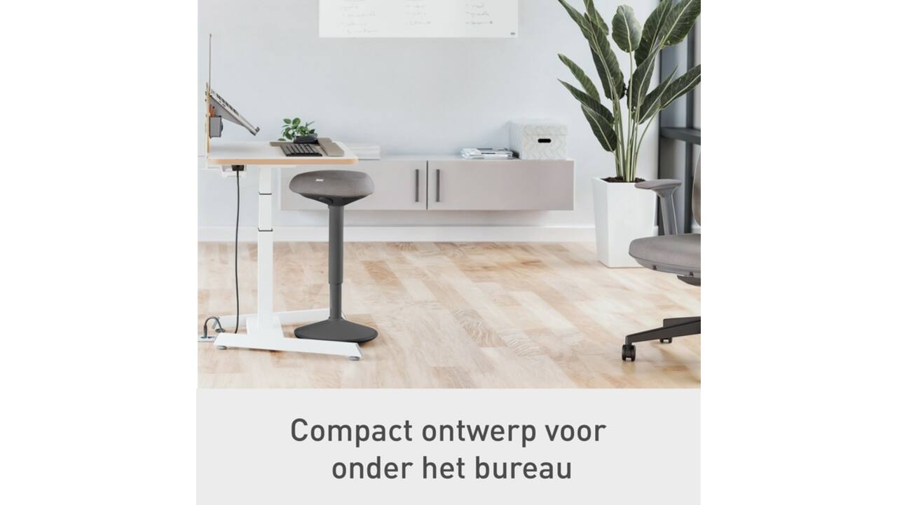 Actieve zit-stakruk Leitz Ergo met gasveer 57-82cm zwart