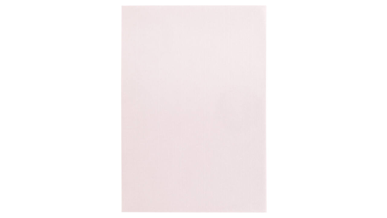 Kopieerpapier Papicolor A4 100gr 12 vel lichtroze