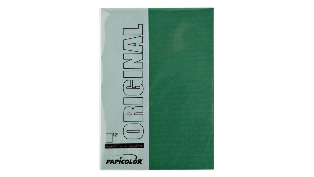 Kopieerpapier Papicolor A4 100gr 12 vel dennengroen
