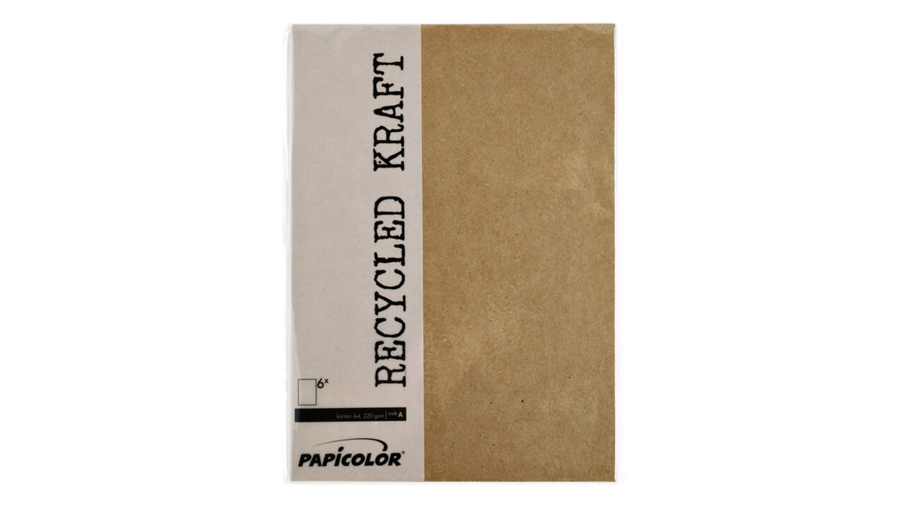 Kopieerpapier Papicolor A4 100gr 12 vel kraft bruin