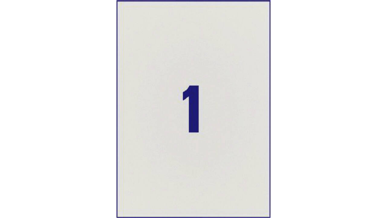 Etiket Avery L6013-20 210x297mm zilver 20 stuks