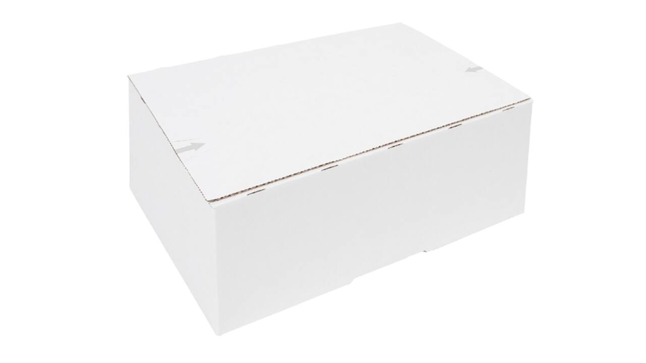 Postpakketbox iezzy 4 305x215x110mm wit
