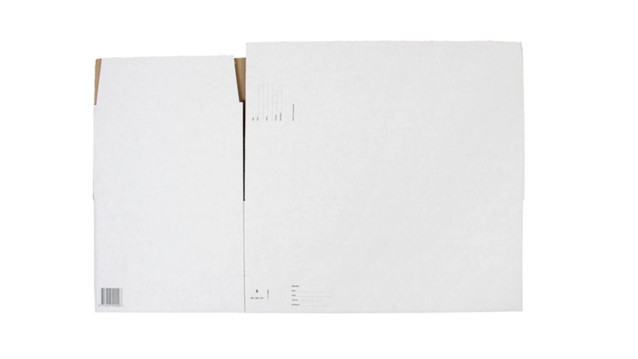 Postpakketbox IEZZY 6 485x260x185mm wit