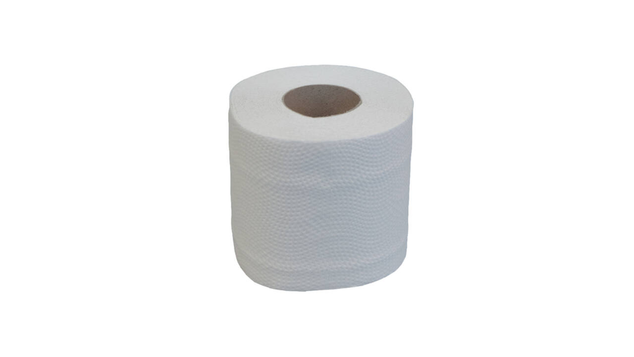 Toiletpapier Katrin 2-laags 250 vel naturel 169505