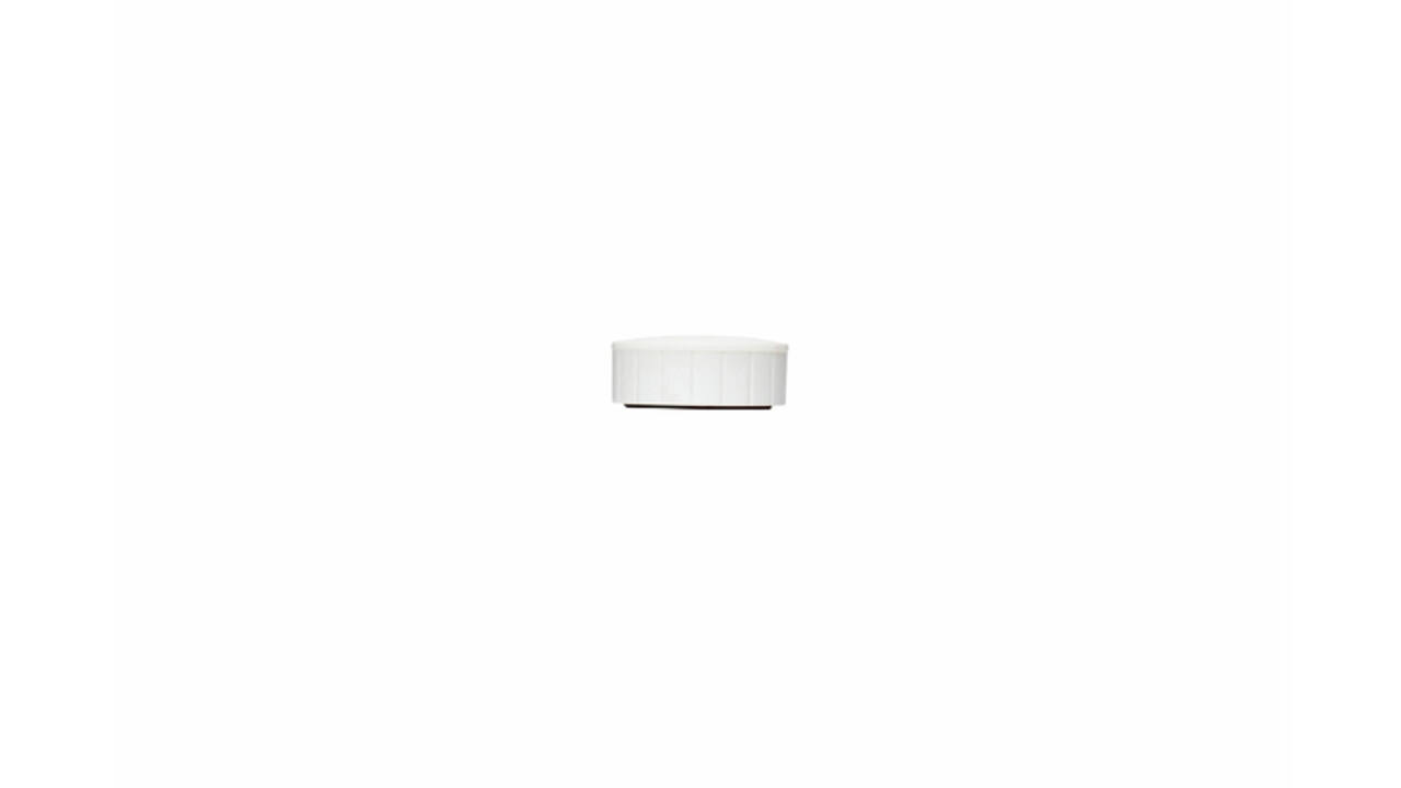 Magneet MAUL Solid 38mm 2500gr wit 10 stuks