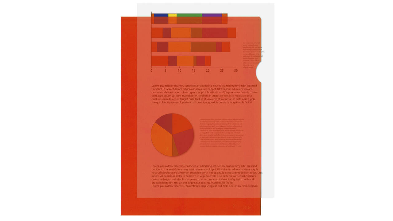 L-map Kangaro A4 PP oranje (10)