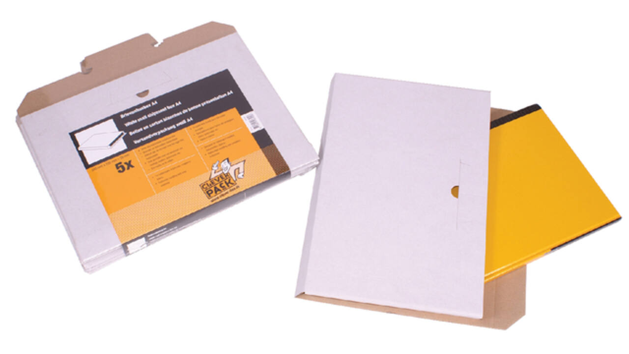 Brievenbusbox CleverPack A4 350x230x26mm karton wit pak à 5 stuks